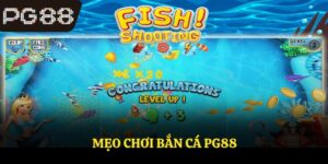 Mẹo Chơi Bắn Cá - Hướng Dẫn Cách Săn Thưởng Cùng PG88