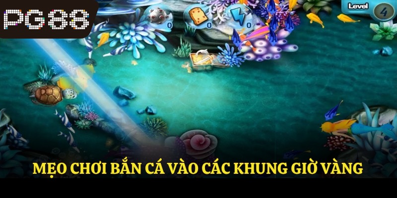Mẹo chơi bắn cá vào các khung giờ vàng