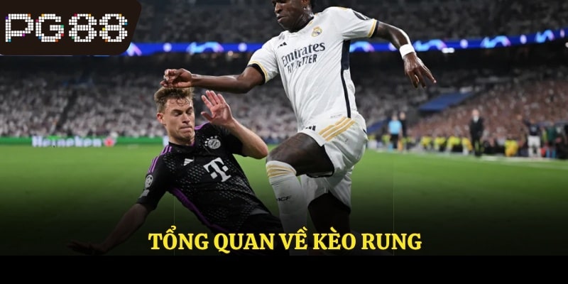 Tổng quan về kèo rung